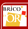 Brico
